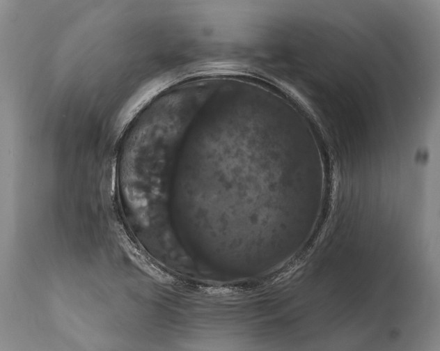 X0000115321413200911161734