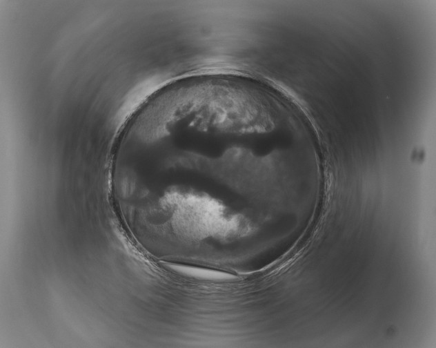 X0000115321415200911161734