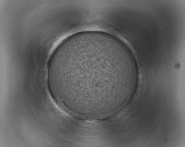 X0000115321416200911161734