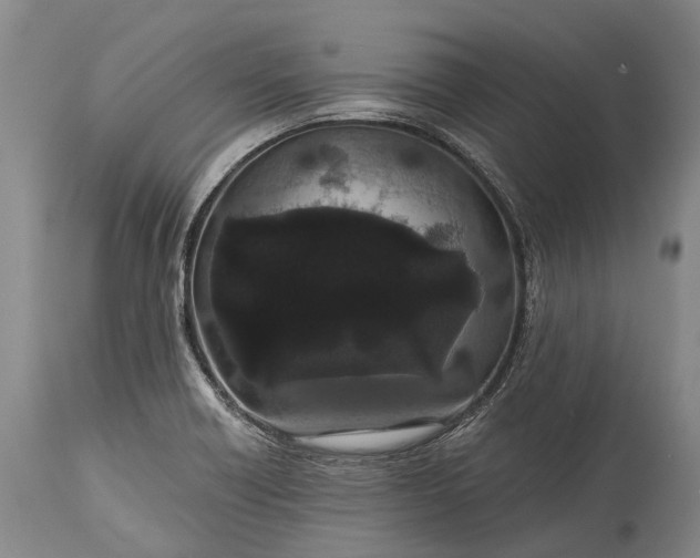 X0000115321418200911161734