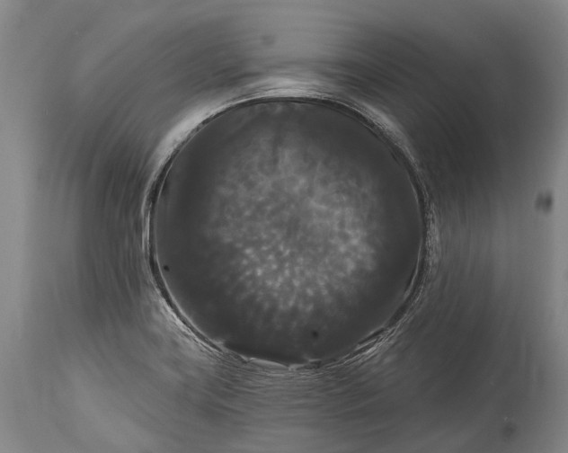 X0000115321419200911161734