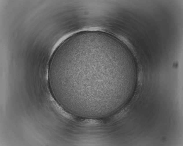 X0000115321420200911161734