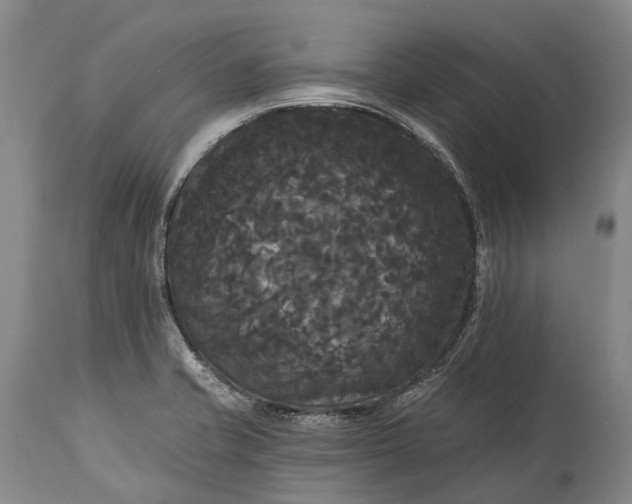 X0000115321421200911161734