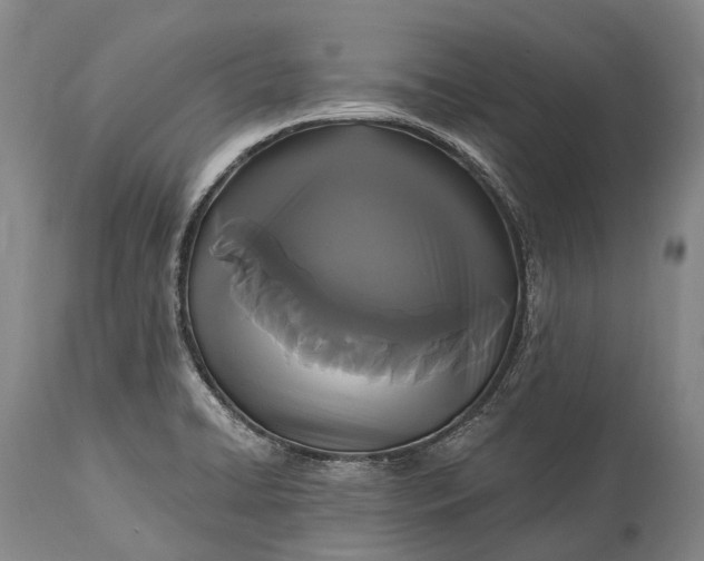 X0000115321422200911161734