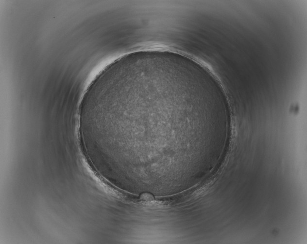 X0000115321424200911161734