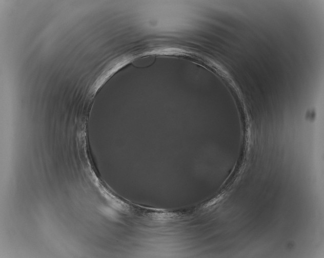 X0000115321425200911161734