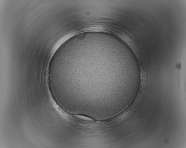 X0000115321426200911161735