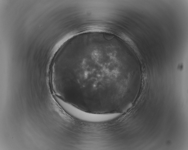 X0000115321427200911161735