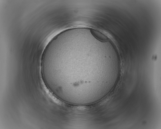 X0000115321431200911161735