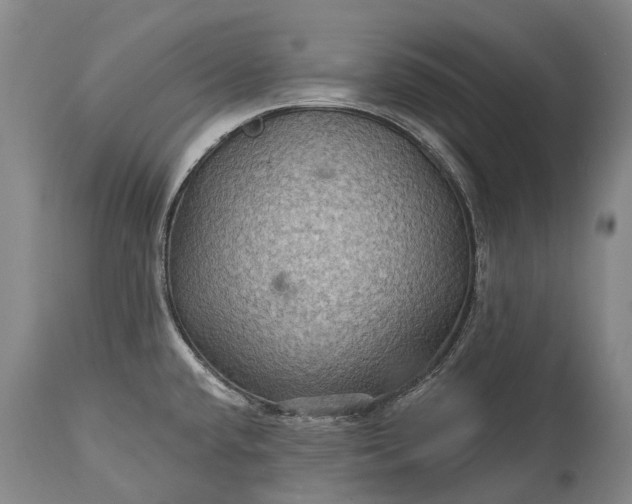 X0000115321432200911161735