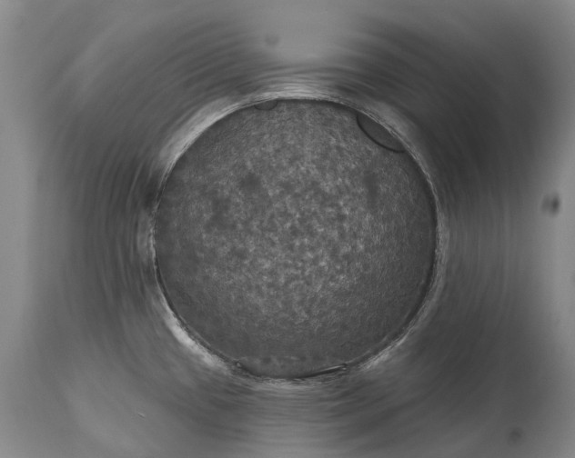 X0000115321433200911161735