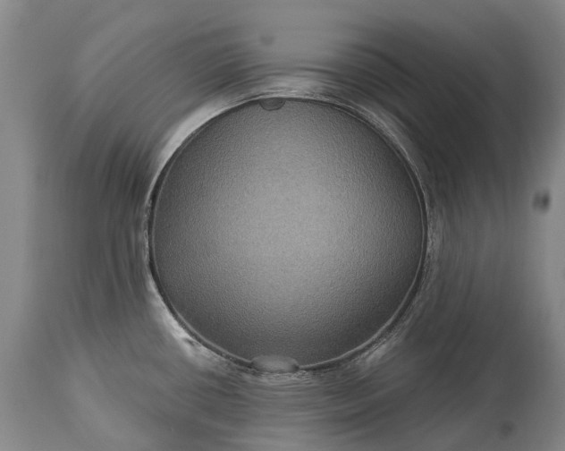 X0000115321434200911161735