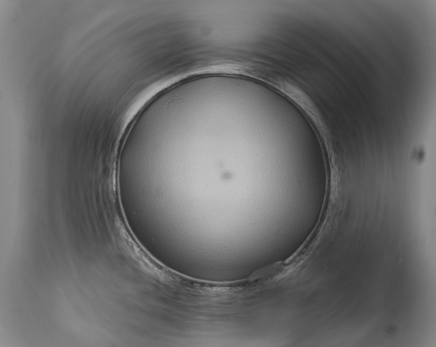 X0000115321436200911161735