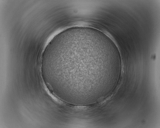 X0000115321437200911161735