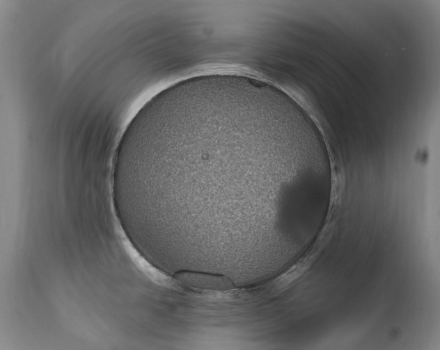 X0000115321438200911161735