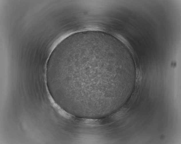 X0000115321439200911161735