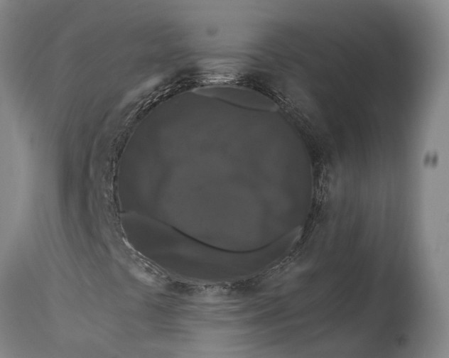 X0000115321441200911161734