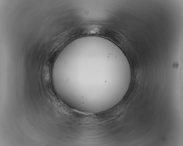 X0000115321442200911161734