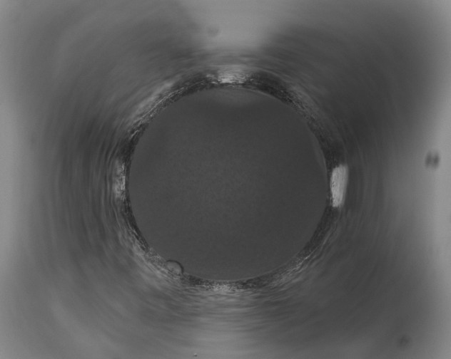 X0000115321443200911161734