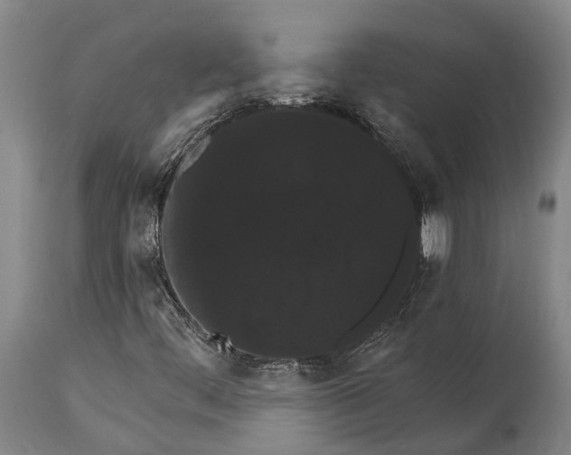 X0000115321444200911161734