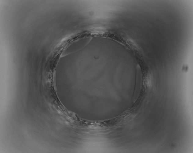 X0000115321445200911161734