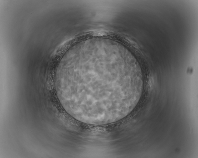 X0000115321446200911161734