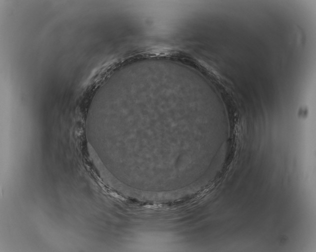 X0000115321447200911161734