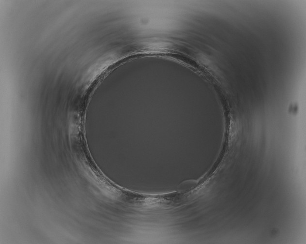 X0000115321449200911161734