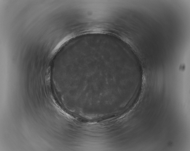 X0000115321450200911161734