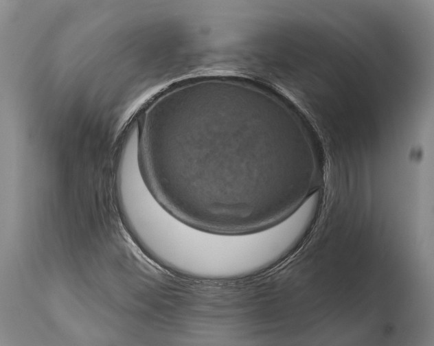 X0000115321452200911161734