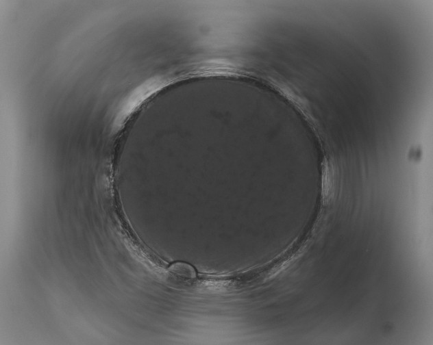 X0000115321453200911161734