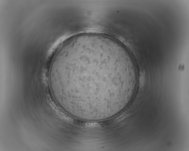 X0000115321454200911161734