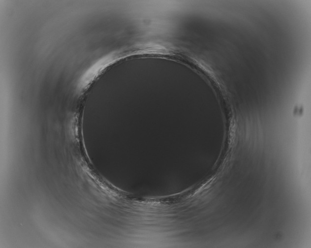 X0000115321455200911161734