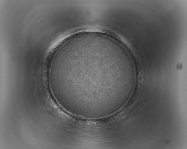 X0000115321456200911161734