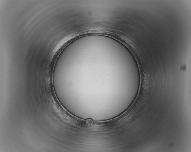 X0000115321458200911161734