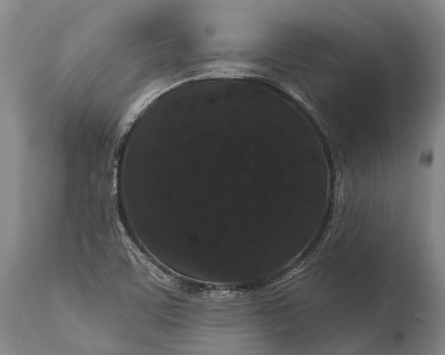 X0000115321459200911161734