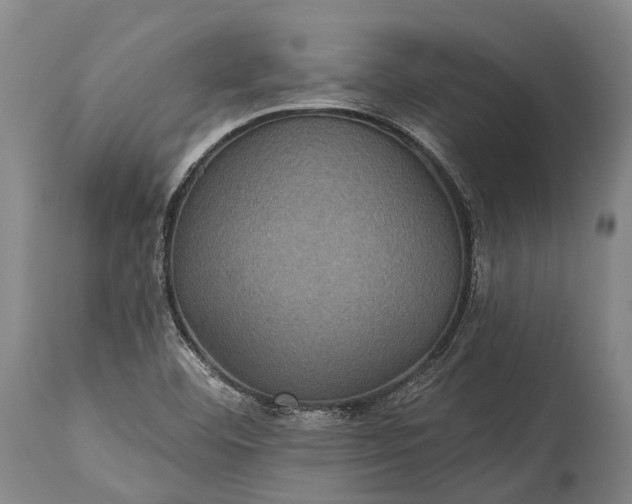 X0000115321460200911161734