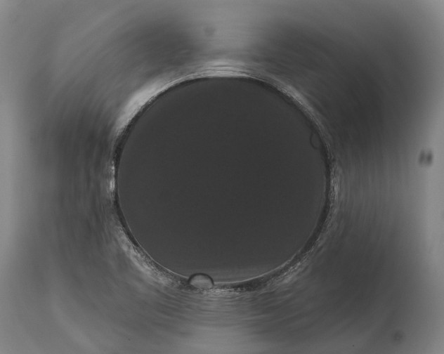 X0000115321461200911161734