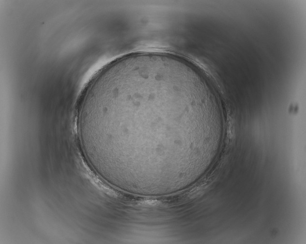 X0000115321462200911161734