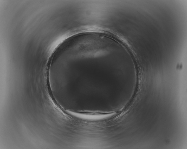 X0000115321463200911161734