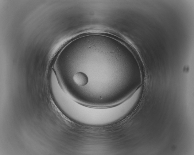 X0000115321464200911161734