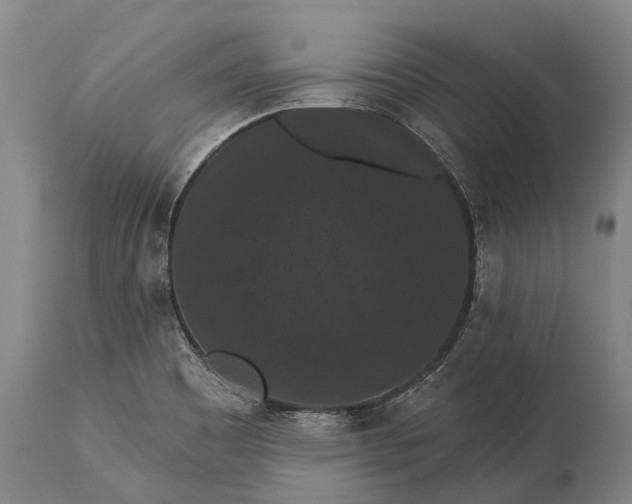 X0000115321465200911161734