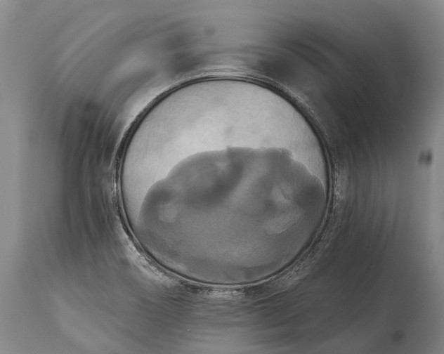 X0000115321466200911161734