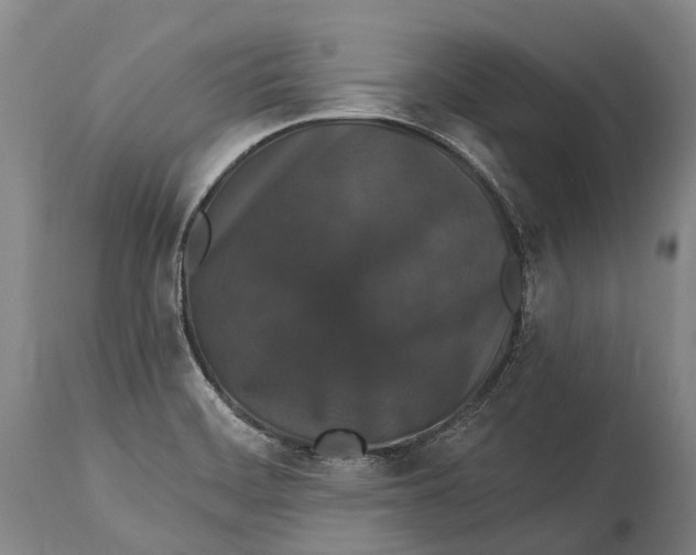 X0000115321468200911161734