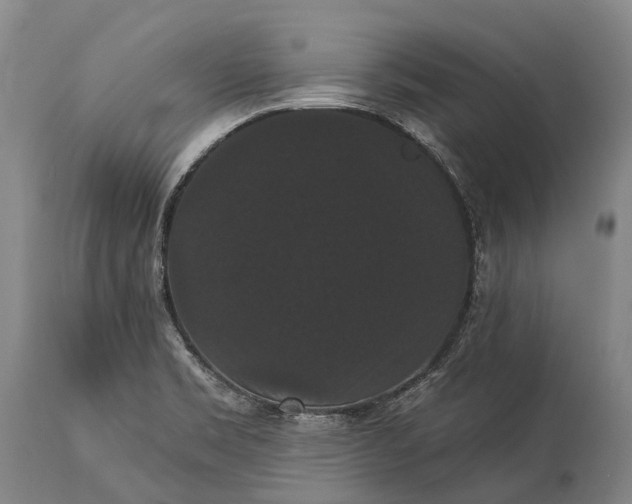 X0000115321469200911161734