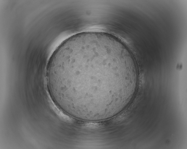 X0000115321470200911161734