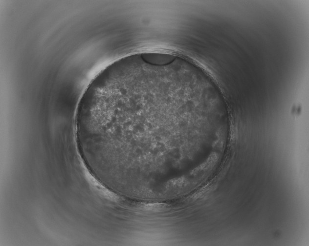 X0000115321471200911161733