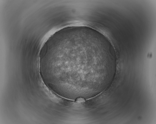 X0000115321472200911161733