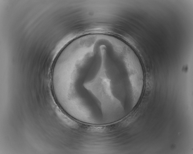 X0000115321474200911161733