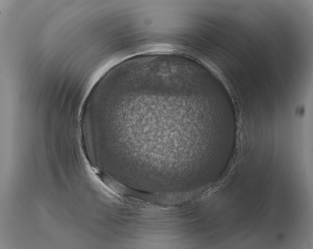 X0000115321475200911161733